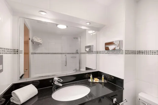 غرفة بسرير مزدوج، Hilton Birmingham Metropole 3/3
