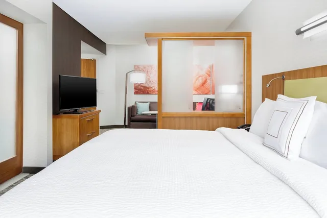استوديو بسرير كينج مع أريكة لذوي الإعاقة، Springhill Suites San Diego Mission Valley 1/1