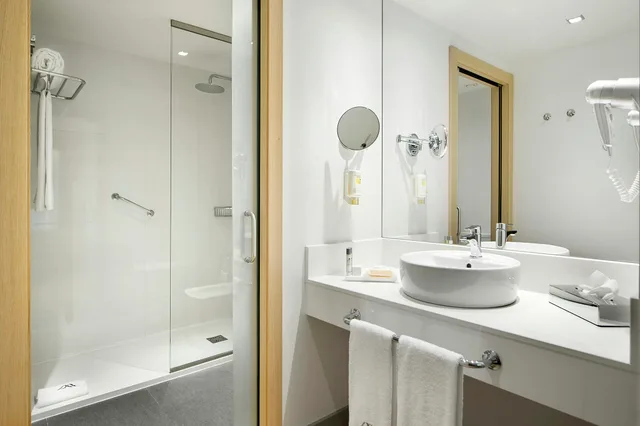 غرفة كلاسيكية بسرير مزدوج، Hotel Sercotel Ciudad de Miranda 4/5