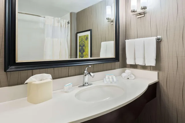 Junior Suite, Queen Bed, Hilton Garden Inn Westbury 1/1