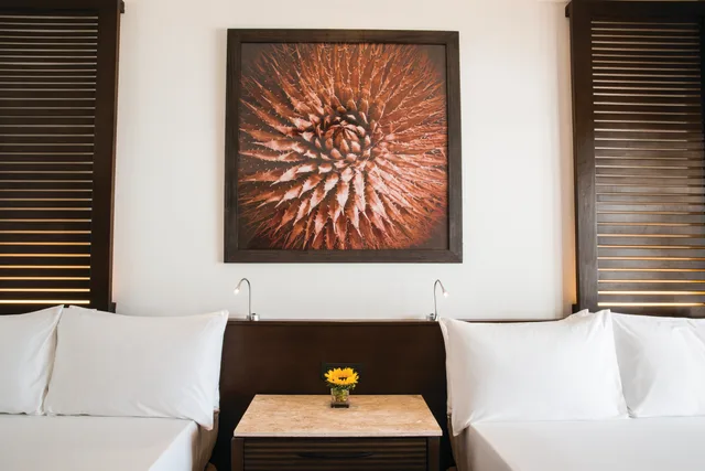 Room, Double Bed, Resort View، Hyatt Ziva Los Cabos All Inclusive Experience 2/3