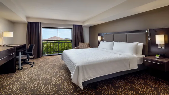 Room, King Bed, Holiday Inn Hotel And Suites Phoenix Airport North 1/1