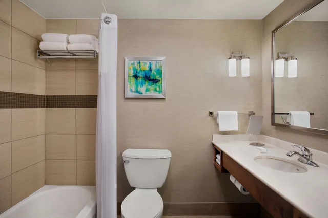 جناح جونيور بسرير كينج، Hilton Garden Inn Lubbock 4/7