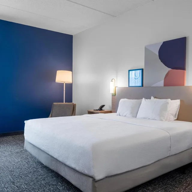 غرفة بسرير كينج بحوض استحمام لذوي الإعاقة، Spark by Hilton Atlanta Kennesaw Town Center 4/10