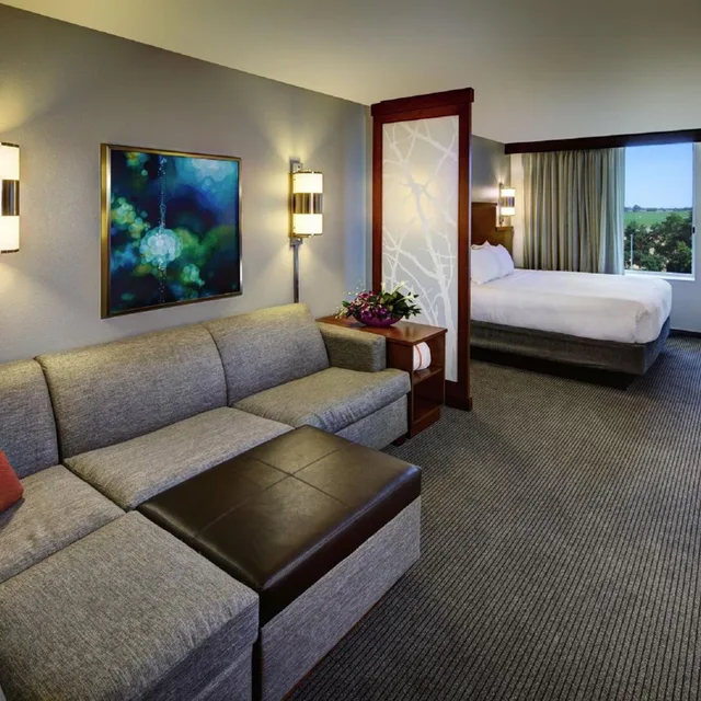غرفة بسرير كينج مع أريكة في طابق مرتفع، Hyatt Place UC Davis 2/4