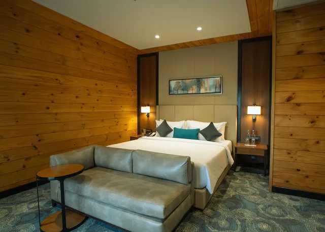 جناح جونيور بسرير كينج، Radisson Blu Resort Dharamshala 2/10