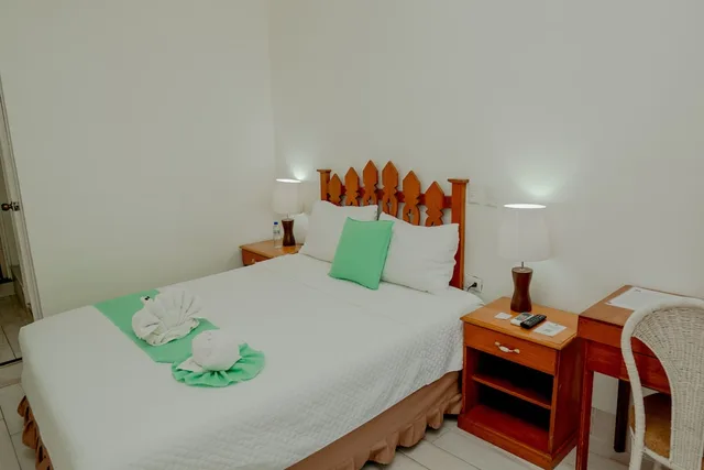 غرفة ديلوكس مفردة بسرير فردي، Hotel Petén 2/3