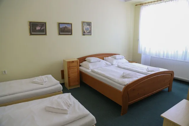 جناح استوديو بسرير كوين وسريرين منفصلين بغرفة نوم واحدة، Sport Resort Hotel Gejzirpark 2/3