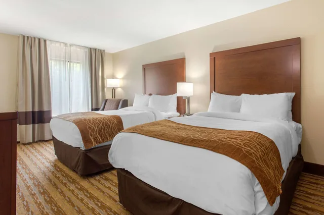 غرفة قياسية بسرير كينج، Comfort Inn Asheville East-Blue Ridge Pkwy Access 4/10
