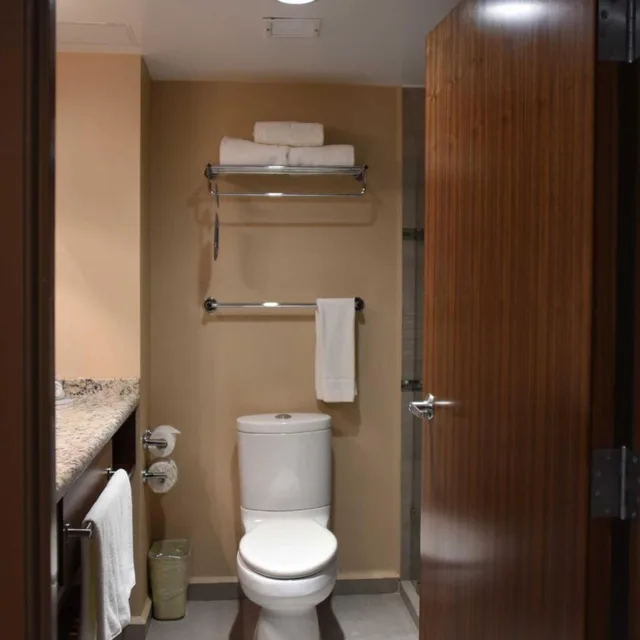 غرفة قياسية بسرير مزدوج، Holiday Inn Express and Suites Celaya 3/5