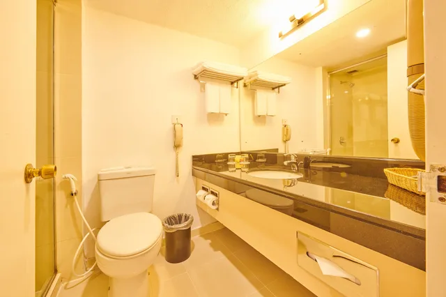 غرفة سوبيريور بسرير كينج، Radisson Blu Hotel, Galadari Colombo 3/3