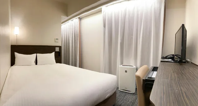 غرفة غربية قياسية بسرير مزدوج، Sotetsu Fresa Inn Ochanomizu-Jimbocho 1/1