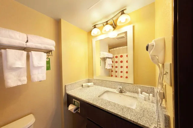 استوديو بسرير كينج، TownePlace Suites by Marriott Wilmington Newark/Christiana 5/6