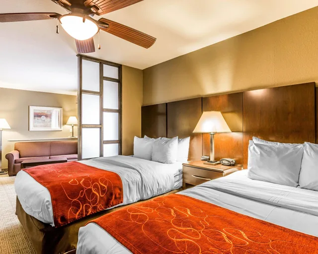 Suite, Comfort Suites Commerce 1/5