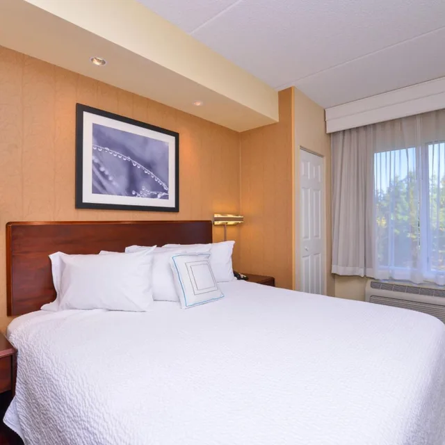 جناح كبير بسرير كينج مع أريكة، Springhill Suites By Marriott Arundel Mills Bwi Airport 1/3