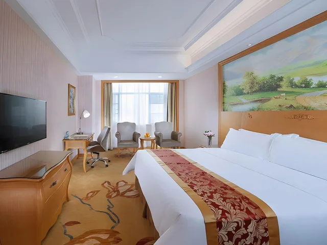 Business, Double Bed, Vienna International Hotel (Shenzhen Airport Hangcheng) 1/1