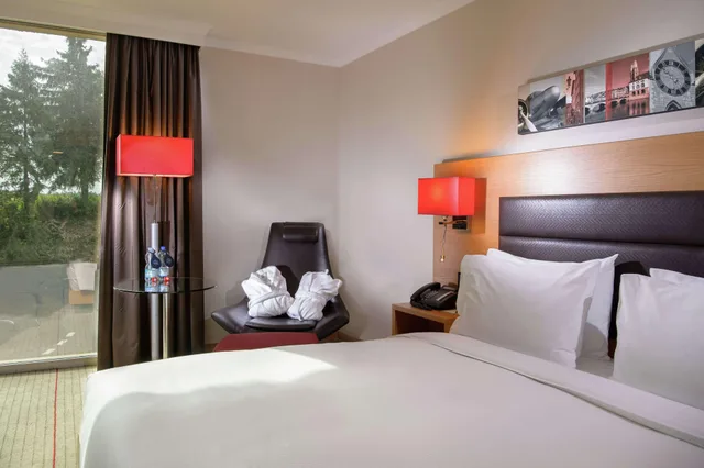 غرفة ديلوكس مفردة، Hilton Zurich Airport 4/11