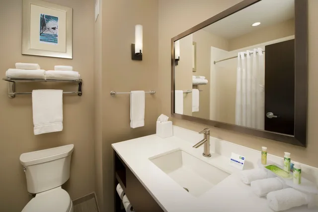 جناح بسرير كينج مع أريكة، Holiday Inn Express And Suites Waco South 3/4