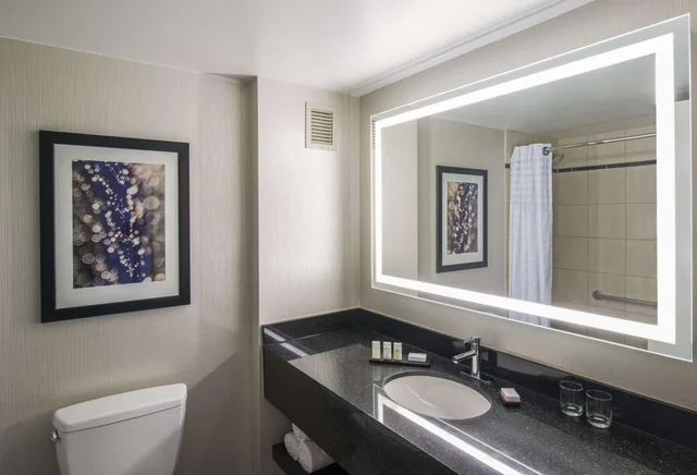 جناح بريميوم بسرير كينج بغرفة نوم واحدة مع أريكة، Embassy Suites by Hilton Chicago Downtown Magnificent Mile 4/6