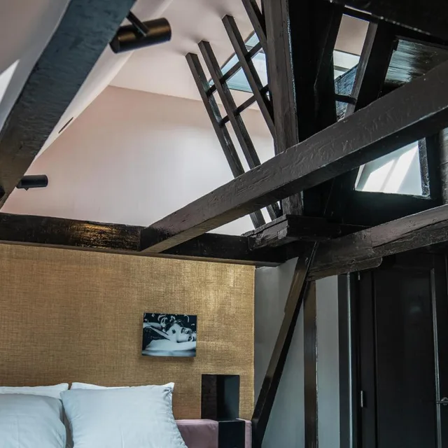 Junior Suite, Hotel Frank Since 1666 (ex. Hotel Rudolph) 4/4