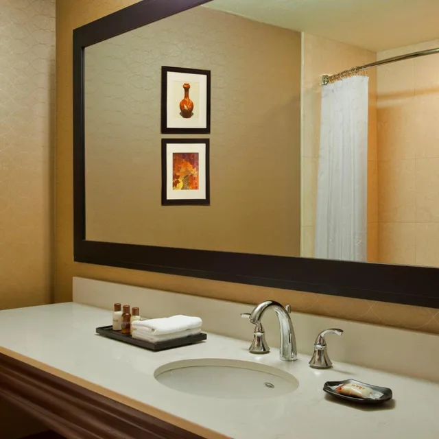 Suite, King Bed, Club Floor, Corner، Sheraton Sioux Falls Convention Center 6/6