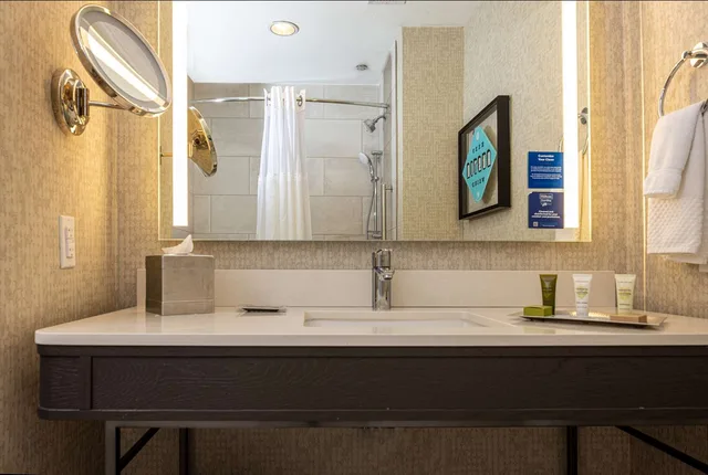 غرفة بسرير كينج بحوض استحمام لذوي الإعاقة، Hilton Austin Airport 8/8