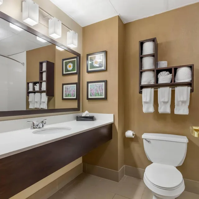 جناح تنفيذي بسرير كينج، Comfort Suites Regency Park 3/6