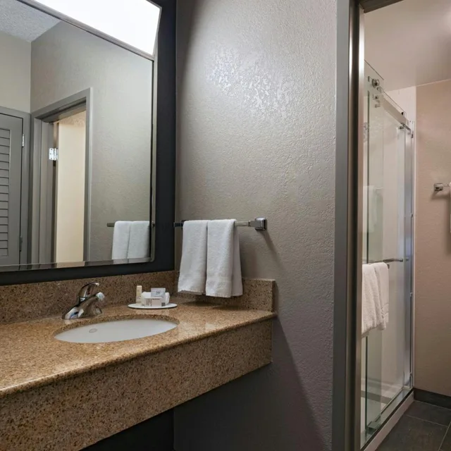 غرفة بسرير كينج مع أريكة بحوض استحمام لذوي الإعاقة، Courtyard by Marriott Medical Center San Antonio 2/4