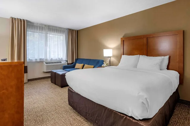 Standard, Single, Queen Bed, Sofa, Comfort Inn & Suites Montpelier-Berlin 1/3