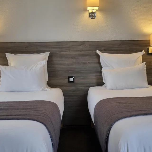 Room, Twin Beds, COMFORT HOTEL ACTUEL CHAMBERY CENTRE 4/10