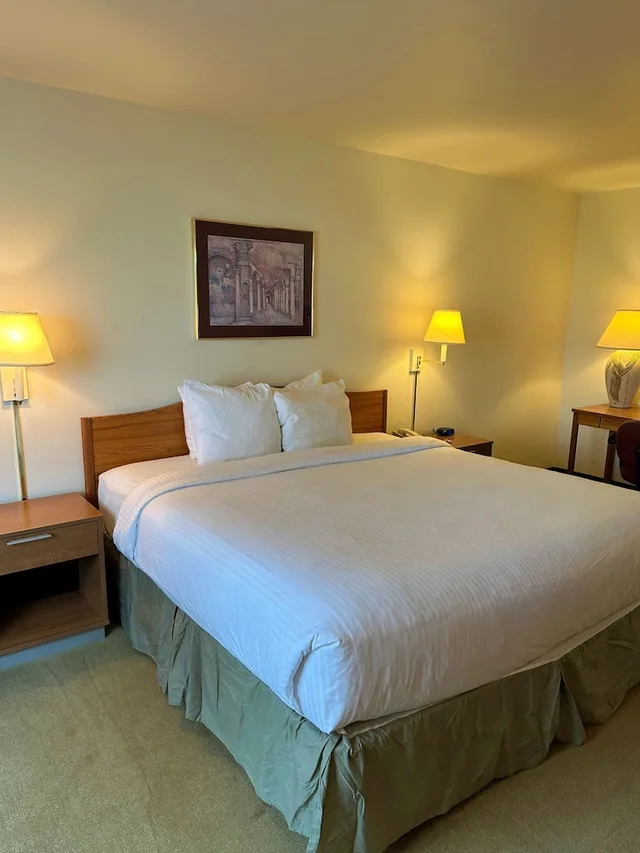 غرفة قياسية مفردة بسرير كينج، Peppermill Empress Inn 3/6