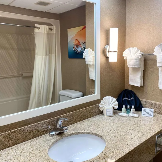 غرفة بسرير كينج مع أريكة، Clarion Hotel & Conference Center Toms River 4/6