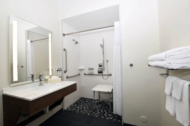 جناح لذوي الإعاقة، STAYBRIDGE SUITES DETROIT-NOVI 4/4