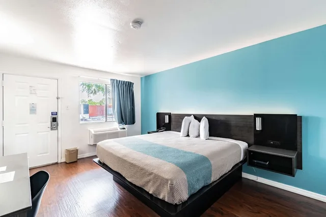 Deluxe, King Bed, Motel6 Tampa, FL 4/6