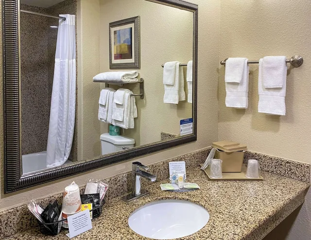 جناح ديلوكس بسرير كينج مع أريكة، Comfort Suites Kings Bay Naval Base Area 3/3