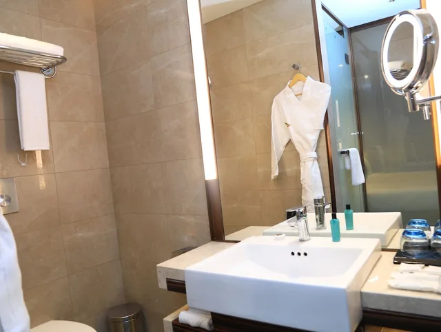 غرفة ديلوكس بسرير كينج، Skylight In Terminal Hotel 4/4