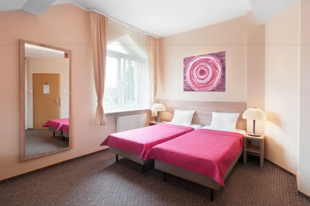 غرفة قياسية بسرير مزدوج، Petrus Hotel 3/8