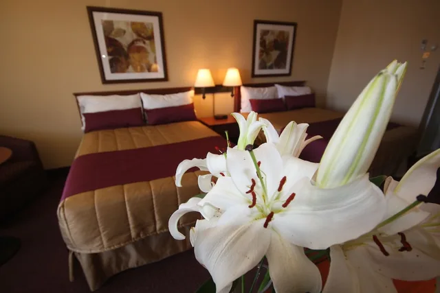 غرفة كلاسيكية بسريرين مزدوجين، Motel Adam 3/8