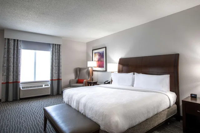 Evolution, King Bed، Hilton Garden Inn Lynchburg 1/3