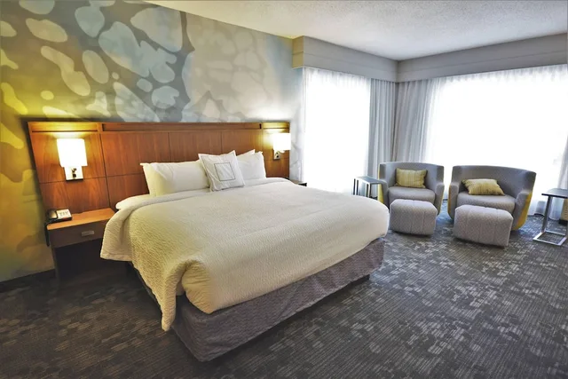 جناح بسرير كينج مع أريكة لذوي الإعاقة، Courtyard by Marriott Asheville Airport 2/4