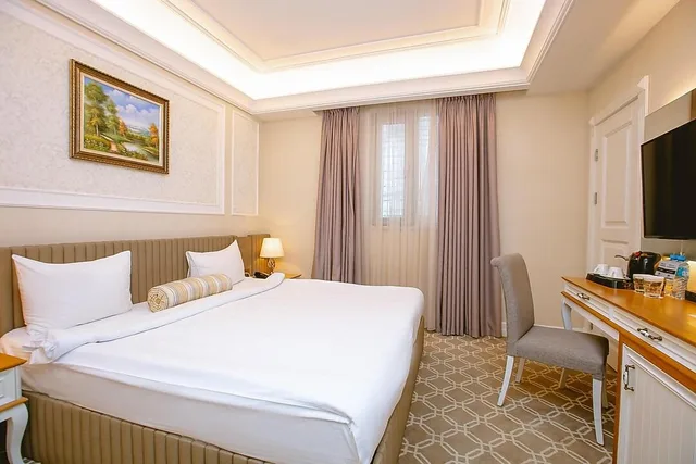 Superior Room (Spr)، Theatrum Hotel Baku 1/1