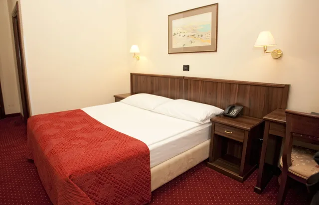 غرفة قياسية بسرير مزدوج أو سريرين منفصلين، Hotel Continental 3/10