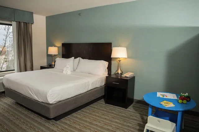 جناح عائلي بسرير كينج وسرير بطابقين، Wyndham Garden Erie 9/10