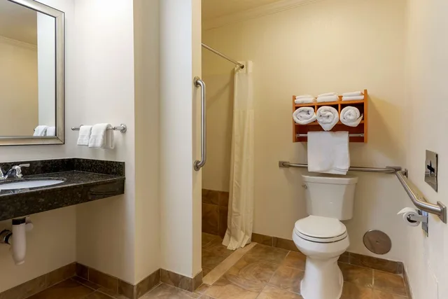 جناح بسرير كينج مع أريكة بجاكوزي لذوي الإعاقة، Best Western Davison Inn 3/3