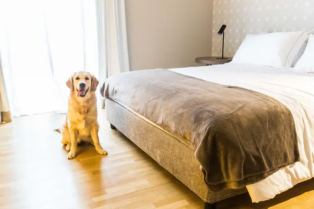Superior, Double Bed, 200 Rooms And Terrace 9/10