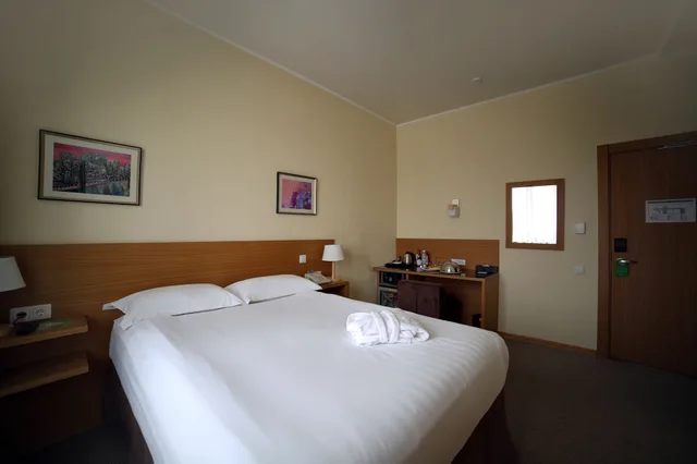 غرفة سوبيريور بسرير كوين، City Hotel Bishkek 1/5
