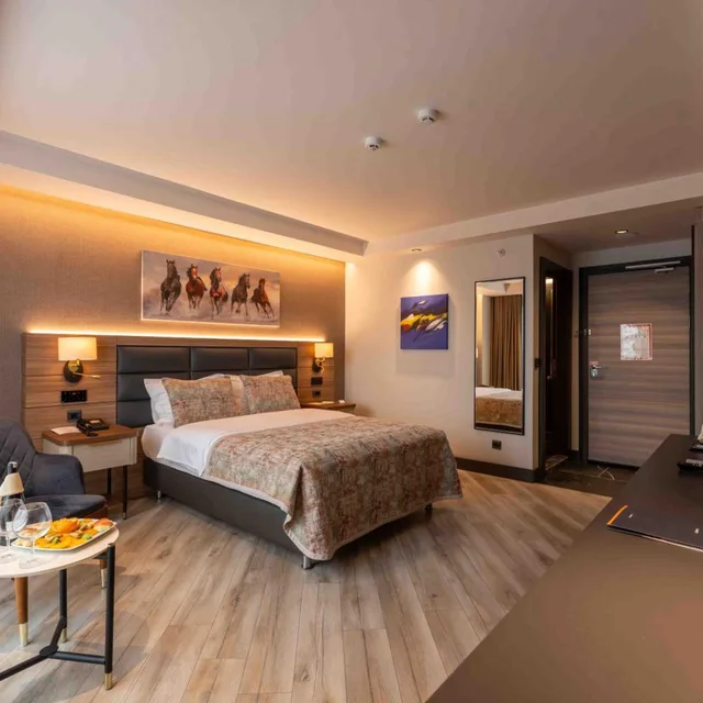 Superior, Double or Twin Bed, City Asya Hotel 1/10
