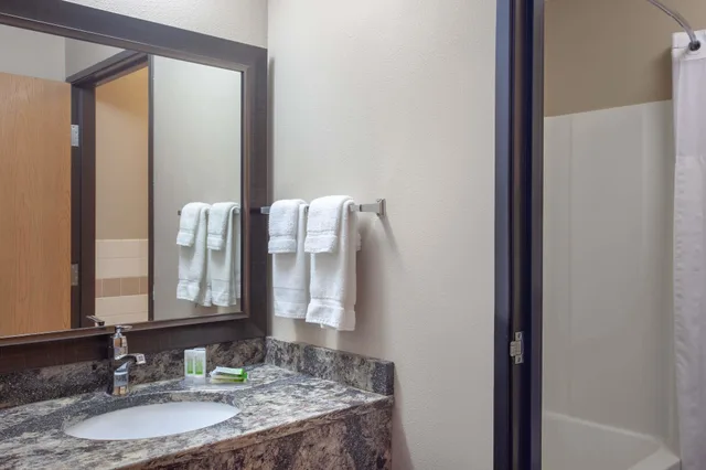 غرفة ديلوكس بسرير كينج، Americinn By Wyndham North Branch 6/6