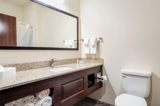 استوديو بسرير كينج مع أريكة، Cobblestone Hotel & Suites - Newport 8/9
