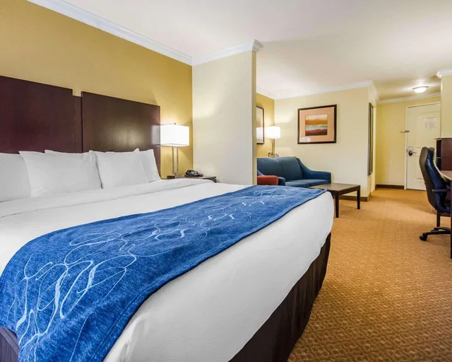 Suite, King Bed, Accessible, Comfort Suites Elizabethtown 1/3